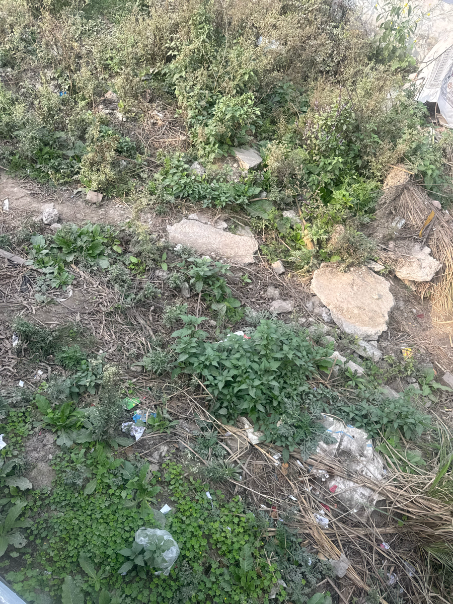 Plot For Sale in Sector 02