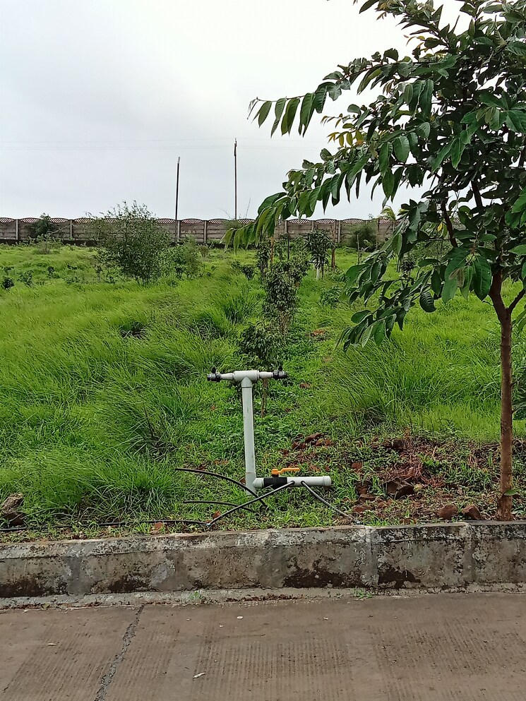 undefined, gangapur  350 Sq.Yd. Plot In Gangapur Nashik 8245919