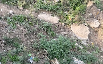 Plot For Sale in Sector 02