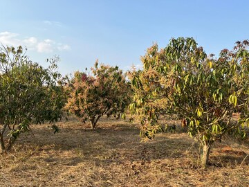  Plot For Sale in Bagalur Road
