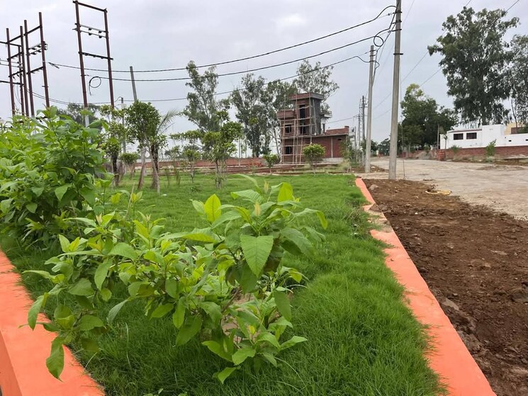 Garden, gaur-yamuna-city-plot  120 Sq.Yd. Plot In Gaur Yamuna City Greater Noida 8246341