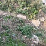 144 Sq.Yd. Land in Sector 2