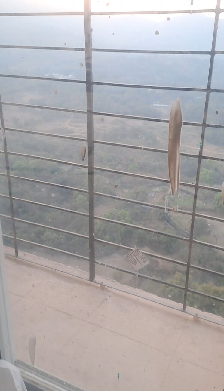 Balcony, mahavir-kalpavruksha 2 Bedroom 685 Sq.Ft. Apartment In Ghodbunder Road Thane 8246920