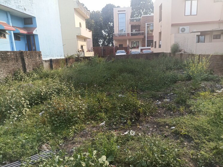 undefined, sahastradhara road  167 Sq.Yd. Plot In Sahastradhara Road Dehradun 8246951