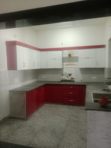 3 BHK Builder Floor For Rent in Sector 6 Panipat  8247149