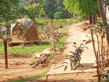 Plot Area in  Plot at Sabbavaram – for Sale