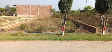 Plot For Resale in Patel Colony Jamnagar  8247401