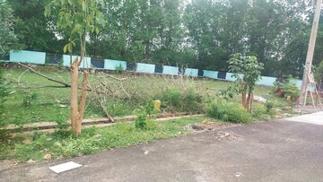 Plot Area in  Plot at Patel Colony – for Sale