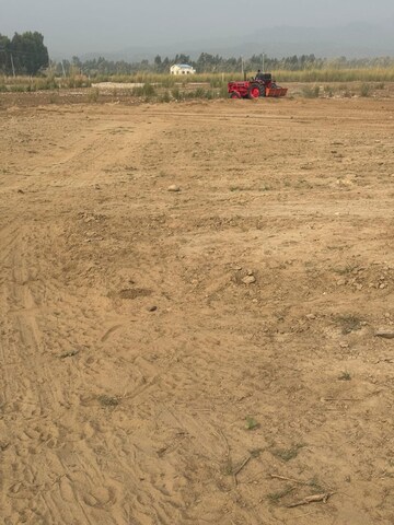 Plot For Resale in Patel Colony Jamnagar  8247579