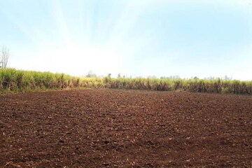  Plot For Sale in Tapukara