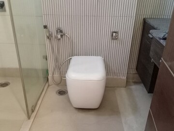 Bathroom in 3 BHK Apartment at Green Park – for Rent
