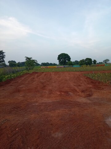  Plot – Exterior View View at Kumhari - for Sale