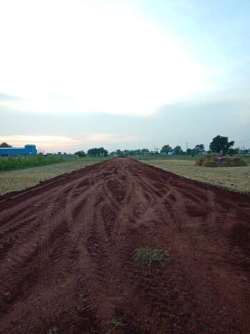 Plot Area in  Plot at Kumhari – for Sale