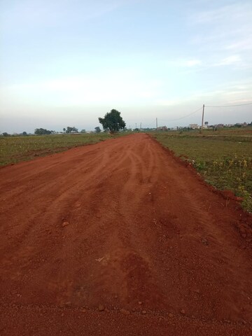 Plot Area in  Plot at Kumhari – for Sale