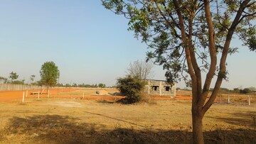 Plot Area in  Plot at Dhamtri Road – for Sale