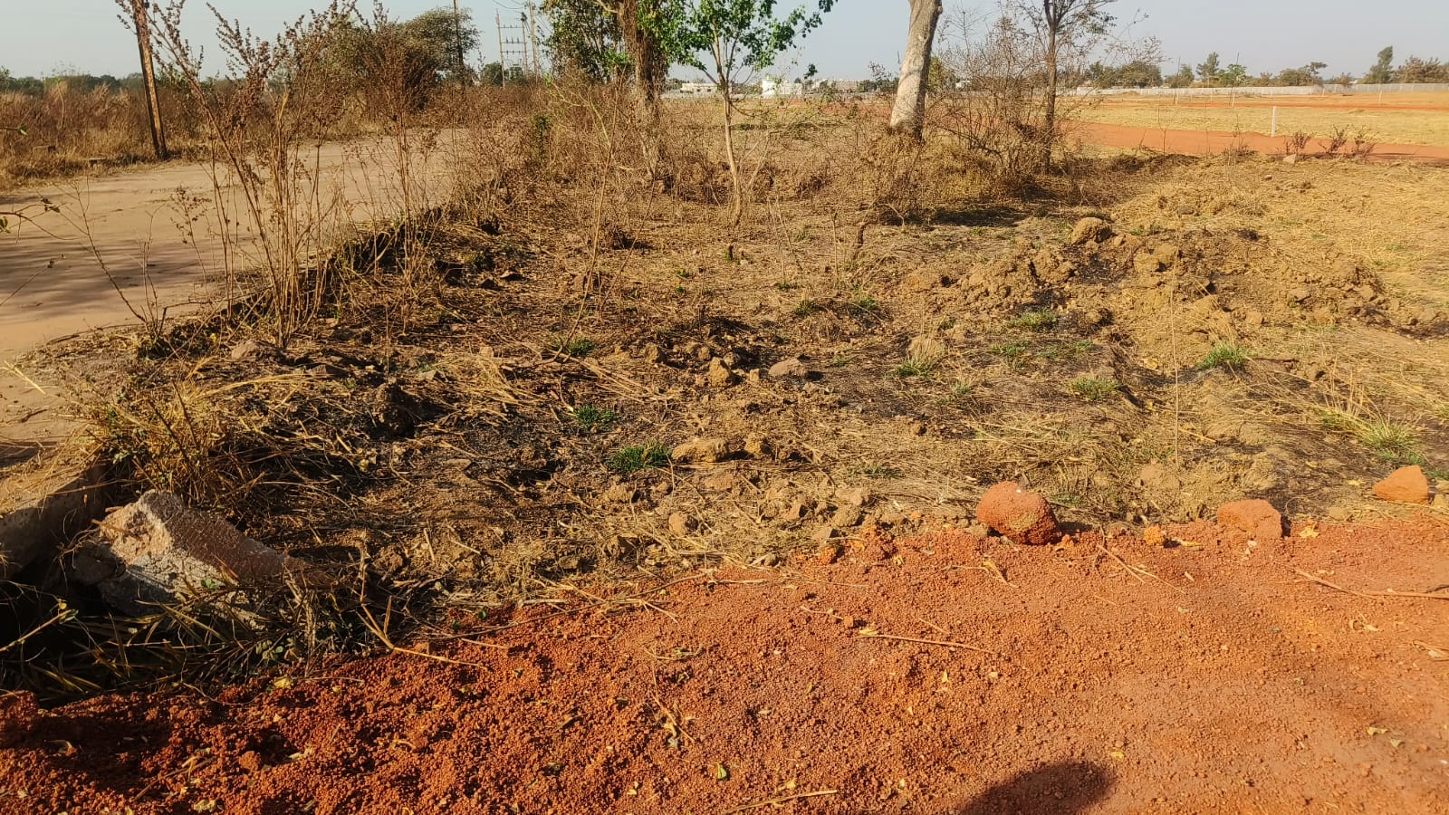 Plot For Sale in Farm Land  Plot 