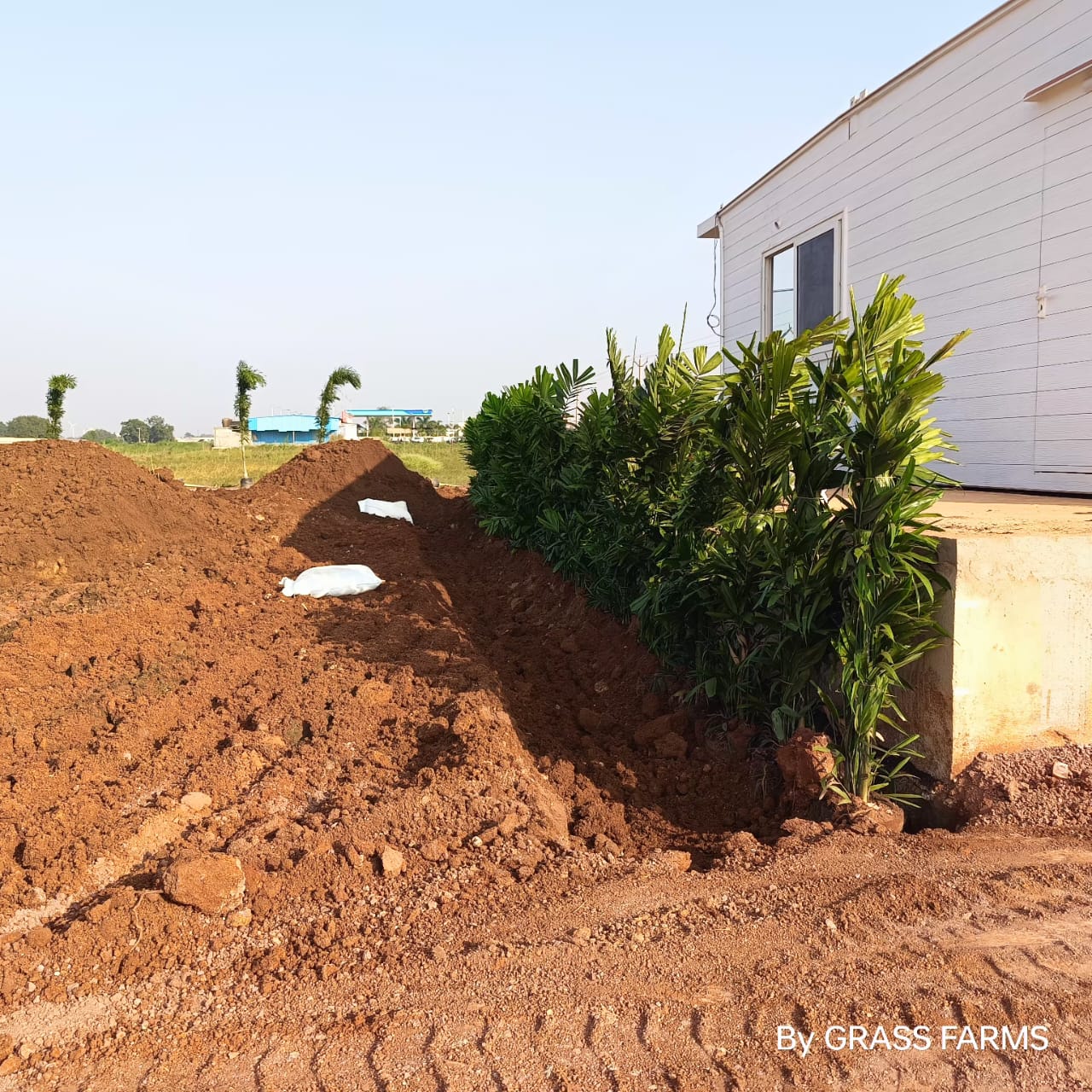 Plot For Sale in Plot For Sale In Kandukur