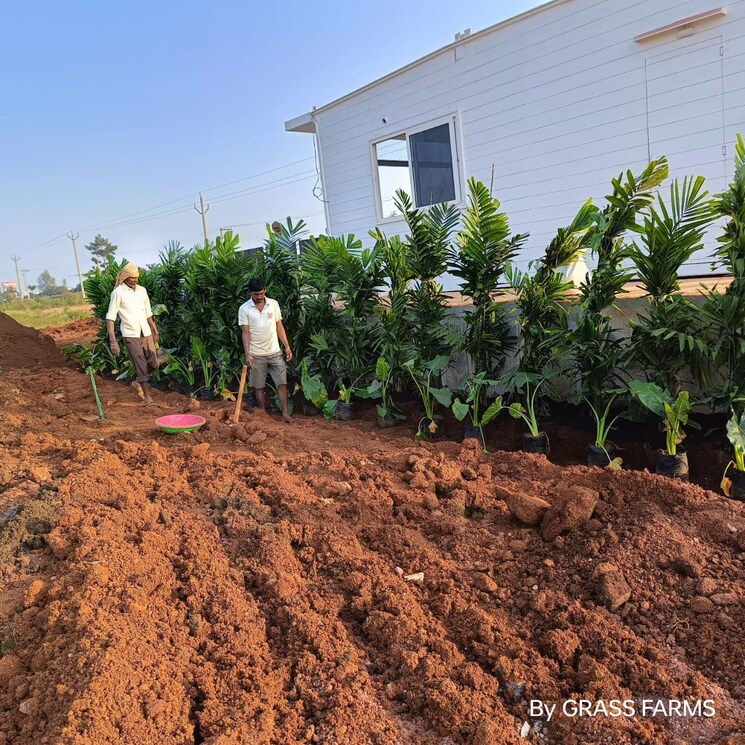 undefined, kandukur  150 Sq.Yd. Plot In Kandukur Hyderabad 8248773