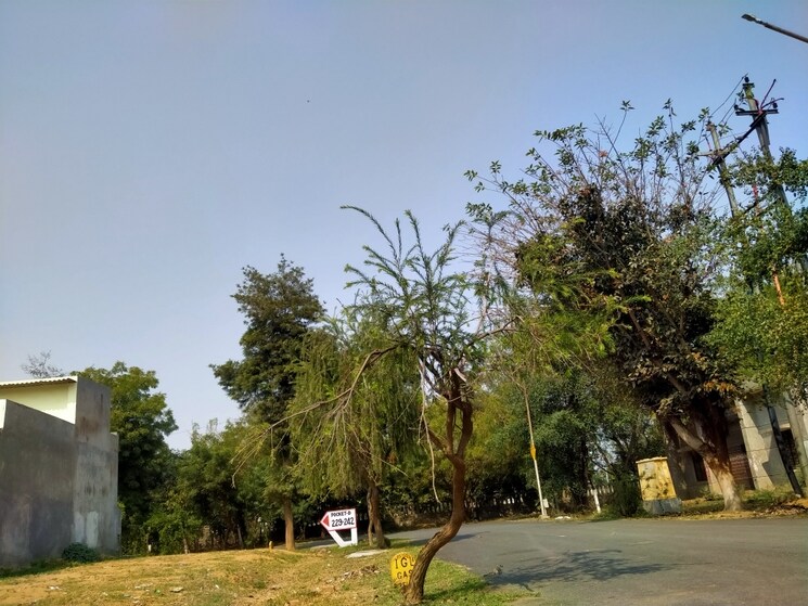 Exterior View, sigma i greater noida 6+ Bedroom 300 Sq.Mt. Independent House In Sigma I Greater Noida Greater Noida 8248798