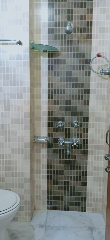 Bathroom in 2 BHK Apartment at Khirki Extension – for Rent