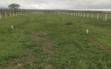 Plot For Sale in Baramati