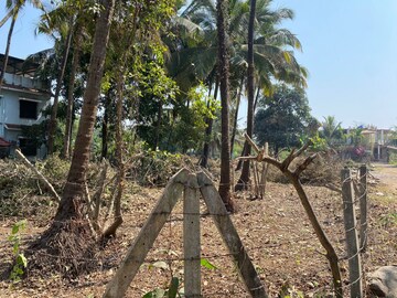  Plot For Sale in Alibag