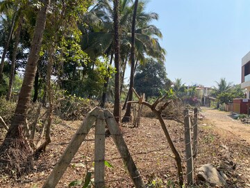  Plot – Garden View at Alibag - for Sale