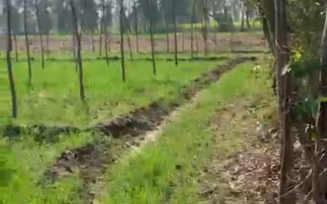 Plot For Sale in Mundia Ahmed Nagar
