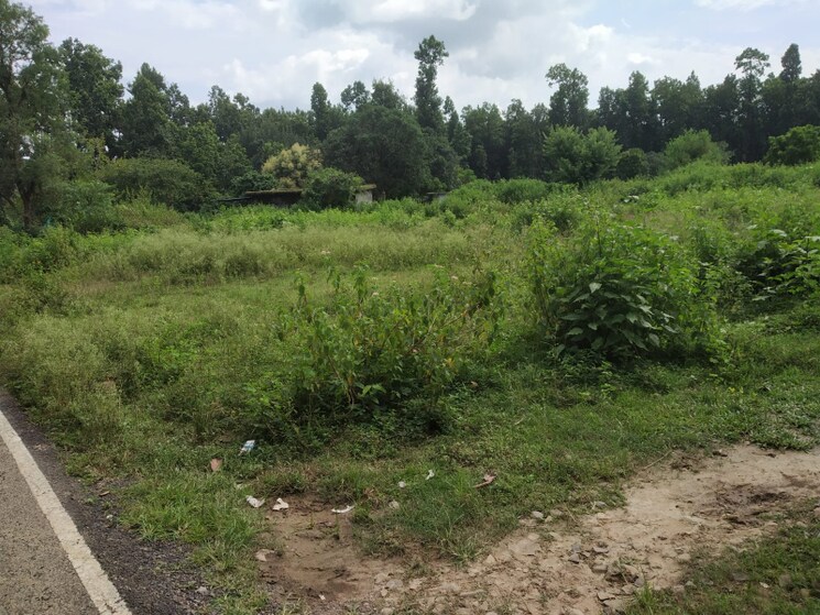 undefined, raipur road Commercial Land 16200 Sq.Ft. In Raipur Road Dehradun 8249618