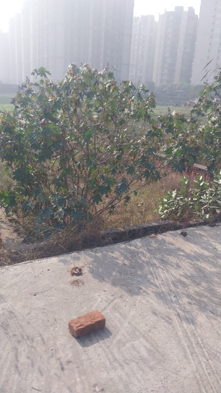 undefined, krishna-enclave-morta  100 Sq.Yd. Plot In Morta Ghaziabad 8250035