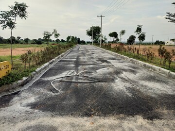 Plot Area in  Plot at Bala Nagar – for Sale