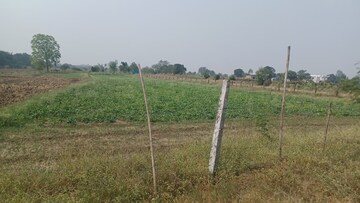 Plot For Resale in Bapauli  Panipat  8250534