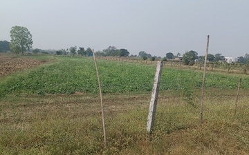 Plot For Sale in Bapauli