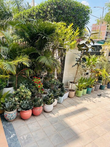 3 BHK Builder Floor – Garden View at BPTP Park 81, Sector 81 - for Rent