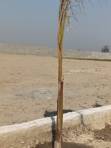 Plot Area in  Plot at Knowledge Park 1 Greater Noida – for Sale
