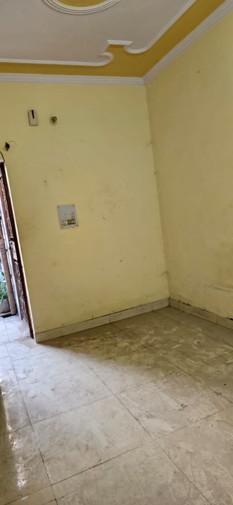 Room, dilshad garden 2 Bedroom 800 Sq.Ft. Apartment In Dilshad Garden Delhi 8250758