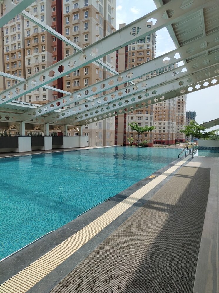 Swimming Pool, brigade-el-dorado-dioro-and-beryl 2 Bedroom 938 Sq.Ft. Apartment In Bagaluru  Bangalore 8251163