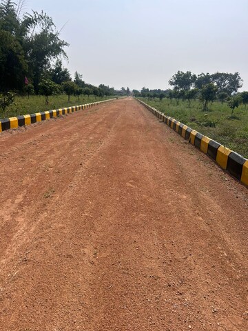Plot Area in  Land at Kamsanpalle – for Sale