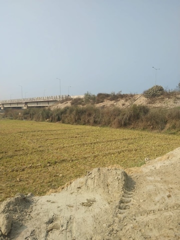 Plot Area in  Plot at Maniram – for Sale