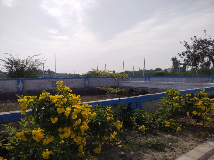Exterior View, rampura  1000 Sq.Ft. Plot In Rampura Kota 8253016
