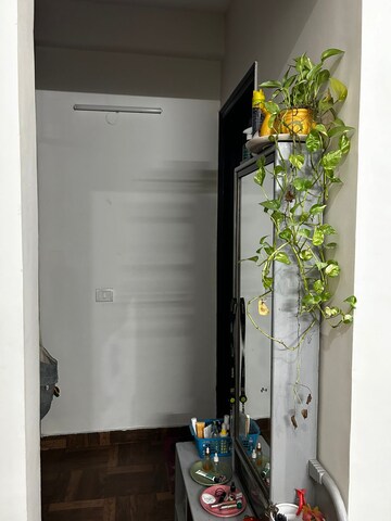 Furnished Amenities in 3 BHK Independent House at Sector 31 – for Rent