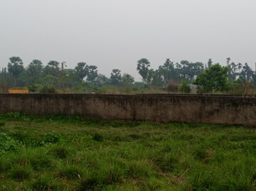 Plot Area in  Plot at Southern Park, Baruipur – for Sale