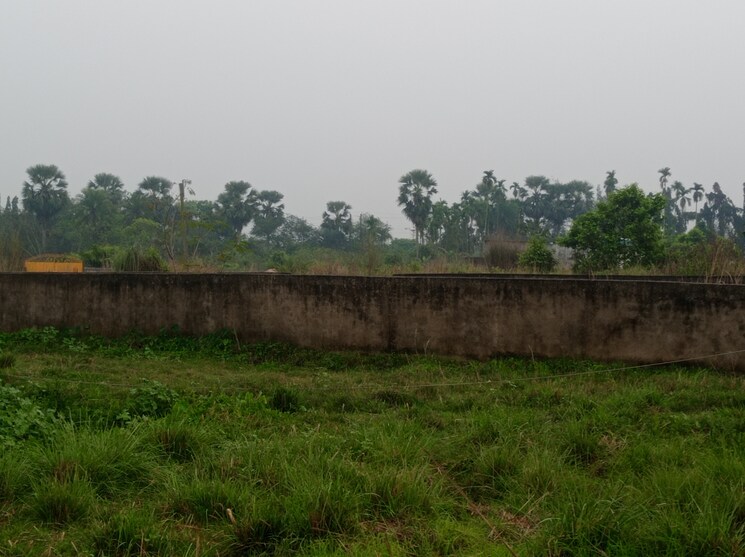 undefined, southern-park  1800 Sq.Ft. Plot In Baruipur Kolkata 8253859