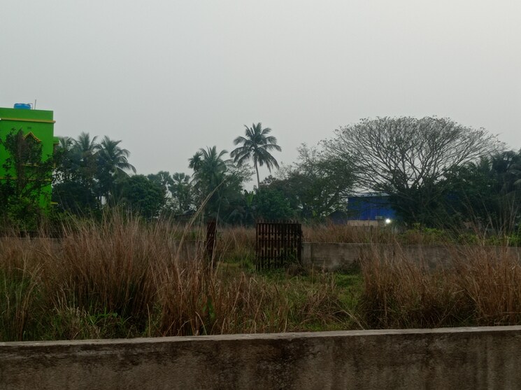 undefined, southern-park  1800 Sq.Ft. Plot In Baruipur Kolkata 8253859