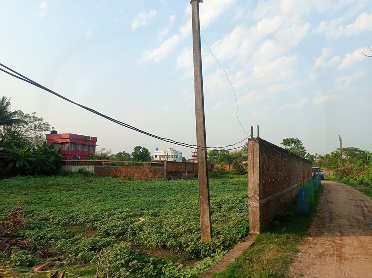 Garden, southern-park  1800 Sq.Ft. Plot In Baruipur Kolkata 8253859