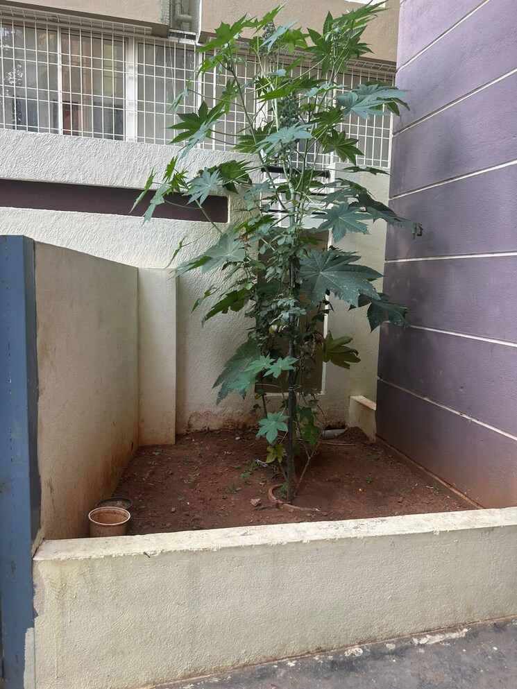 Balcony, hsr layout 6+ Bedroom 2100 Sq.Ft. Independent House In Hsr Layout Bangalore 8253949