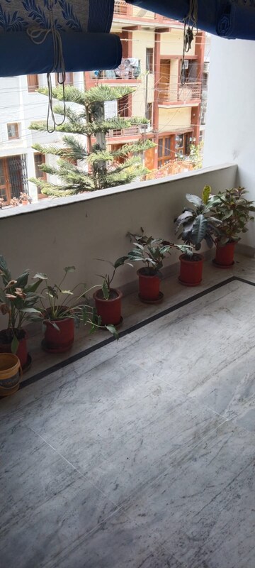 Parking in 2 BHK Builder Floor at Sector 23 – for Rent