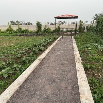 Plot Area in  Plot at Bhatagaon – for Sale