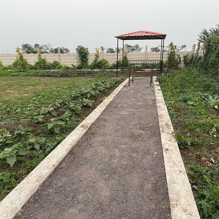 undefined, bhatagaon  11500 Sq.Ft. Plot In Bhatagaon Raipur 8255176