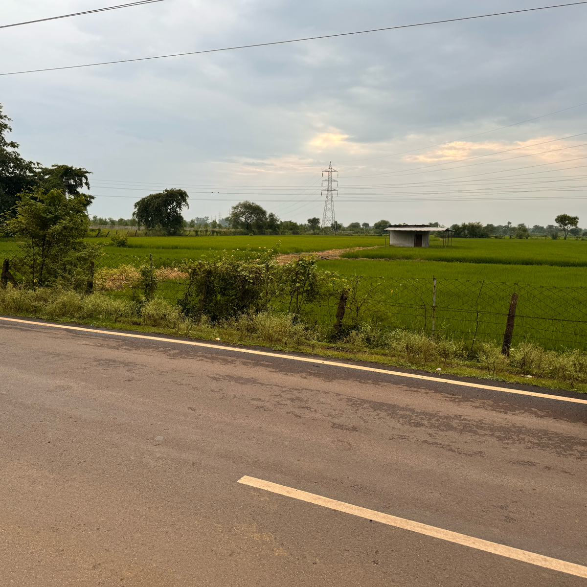 Plot For Sale in Samriddhi Agri Farm